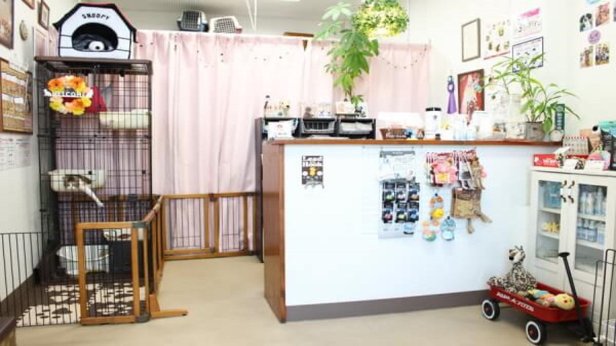 pet grooming & hotel KotaKuna base(ホテル)