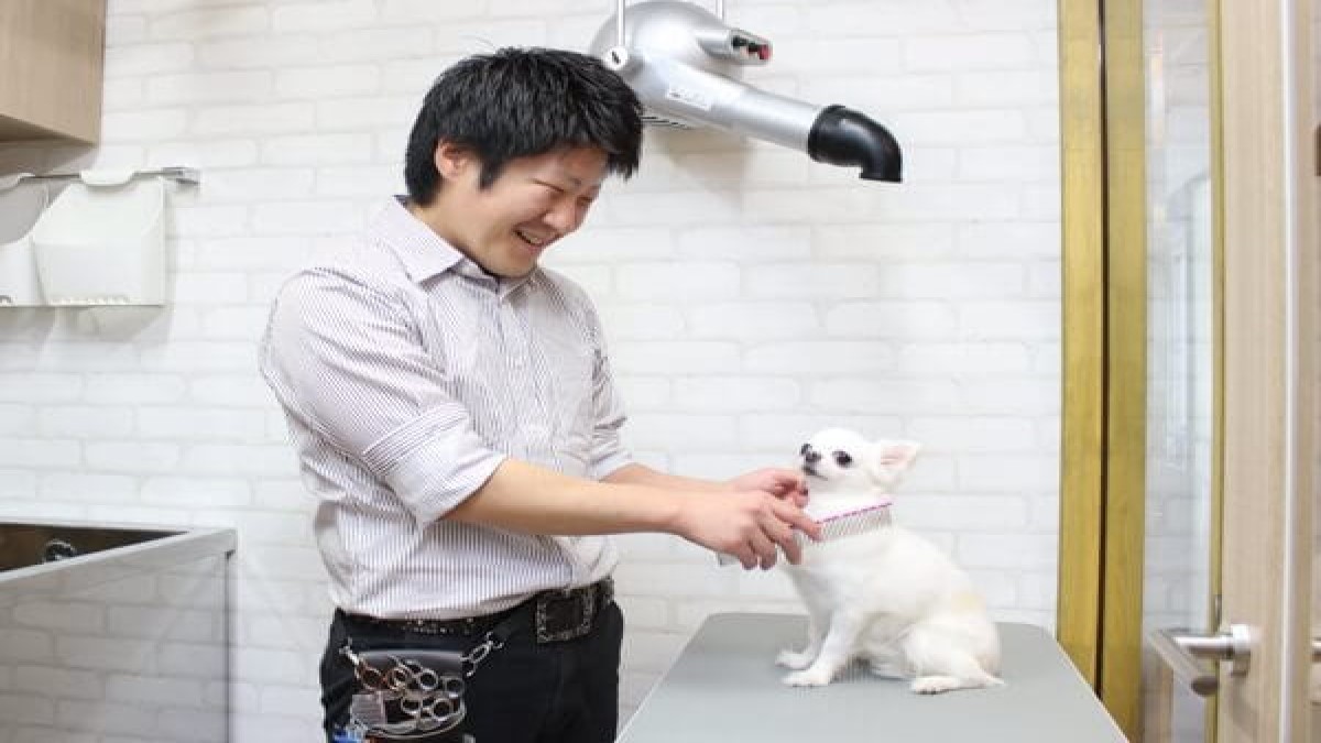 ペットホテル・トリミングサロン 麻布十番ダンボ本店(ホテル)