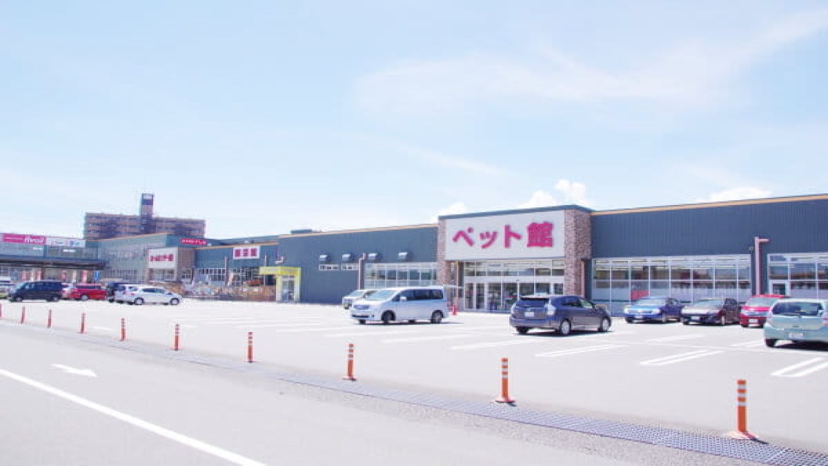 ペットショップノア 相模原橋本店