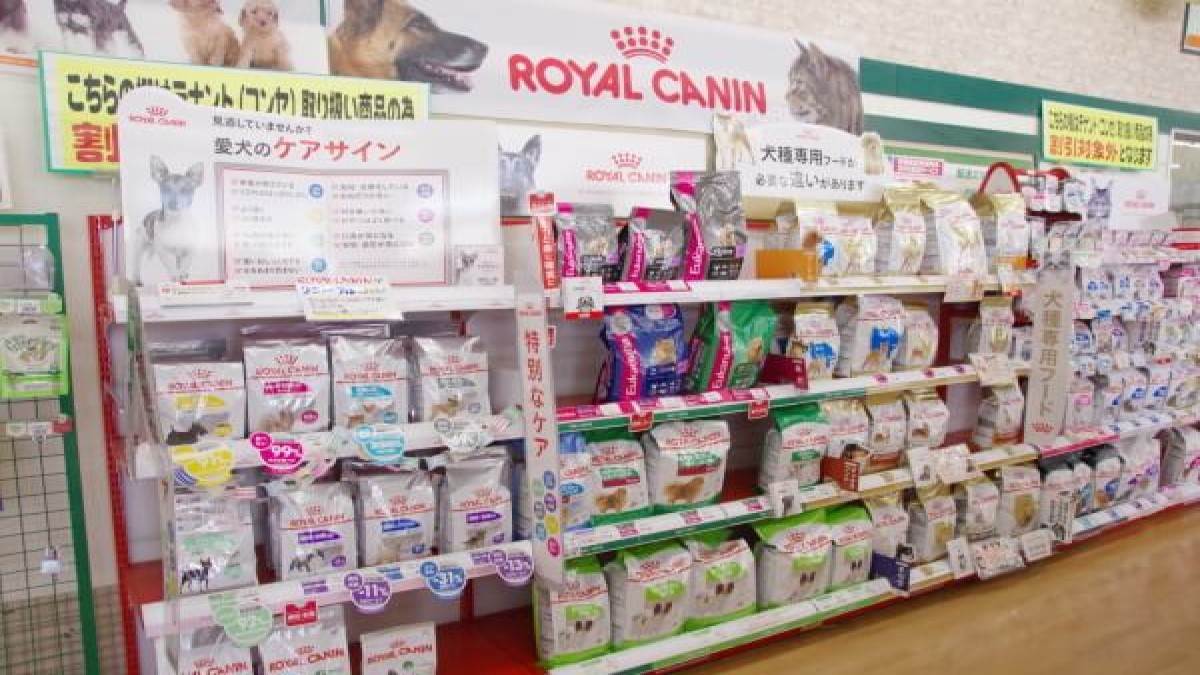 ペットショップノア 相模原橋本店