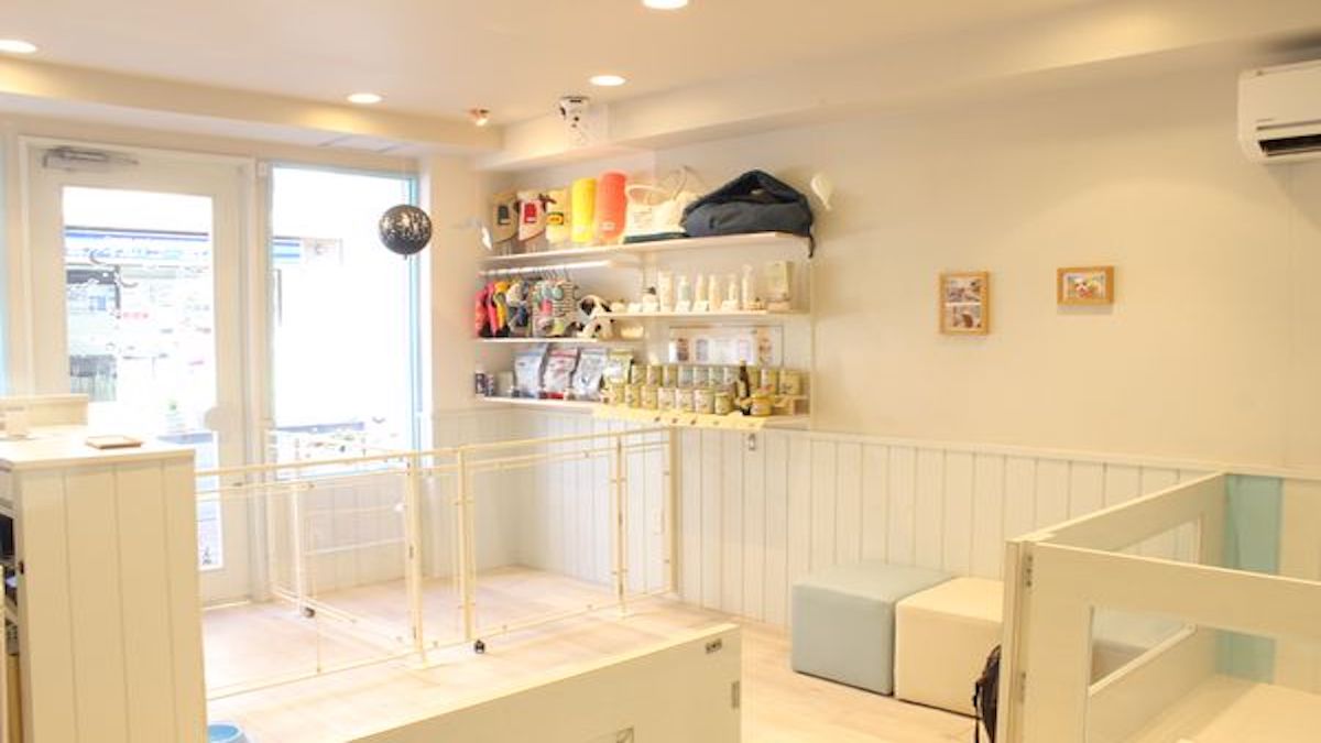 Losange(ペットホテル)