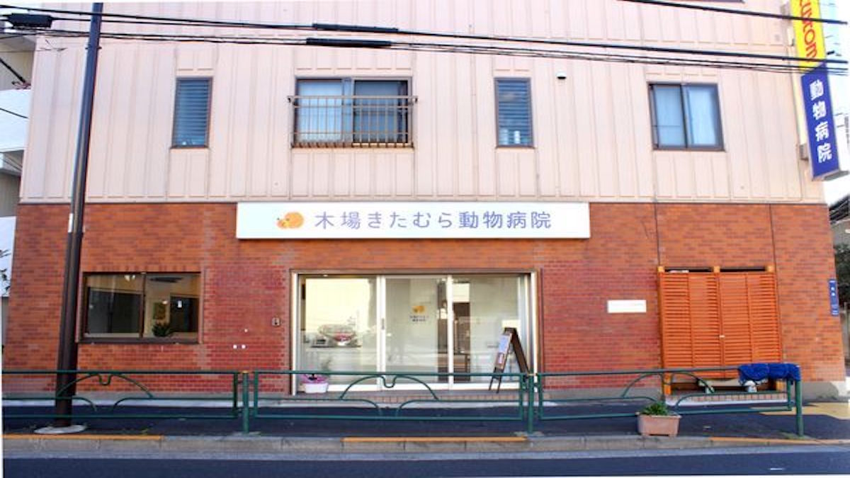 木場きたむら動物病院(ホテル)