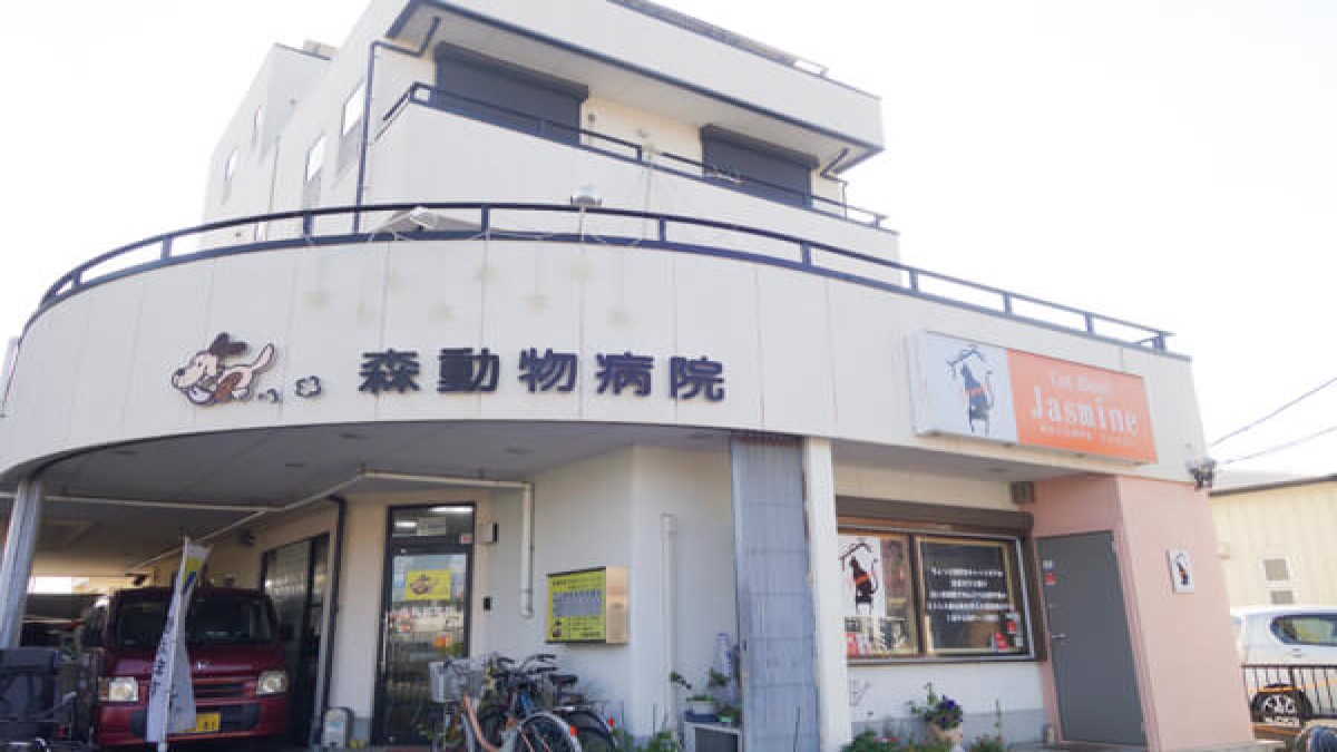 森動物病院(ホテル)