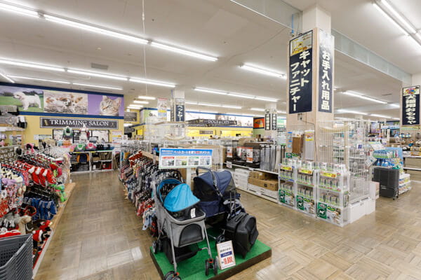 スーパーセンタームサシ新潟店(ホテル)