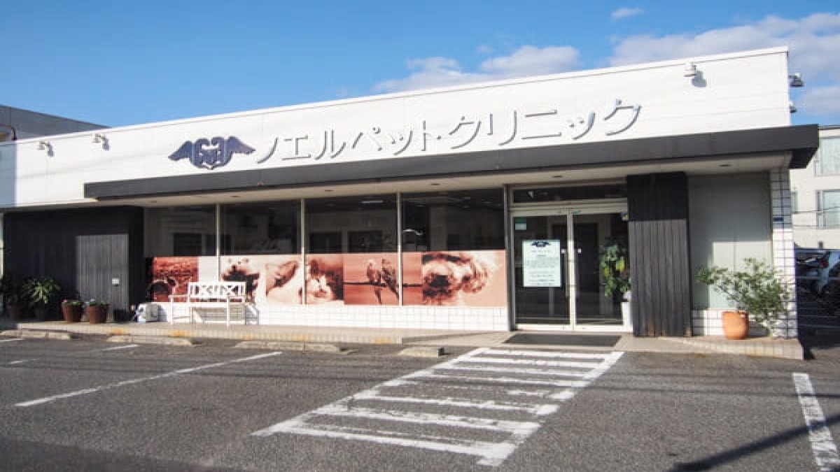 ノエルペットクリニック