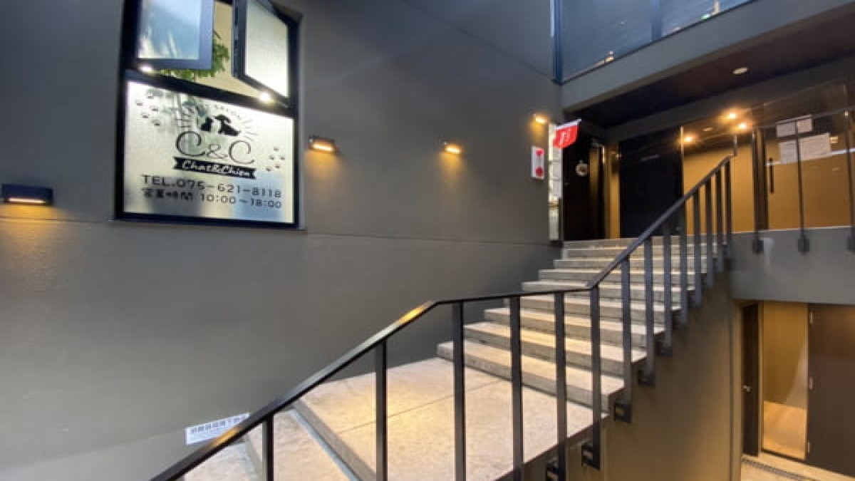 PET SALON C&C
