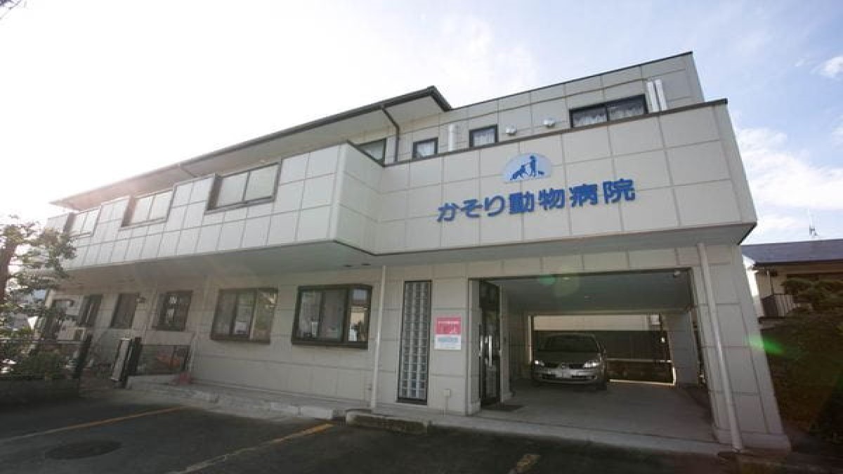 かそり動物病院(ペットホテル)