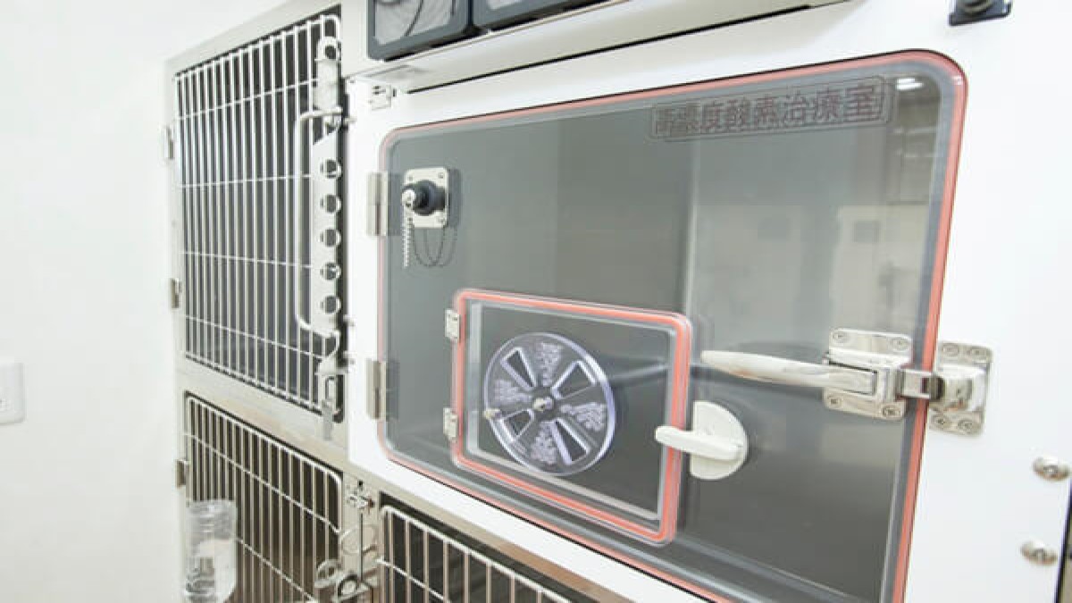 めばえ動物病院