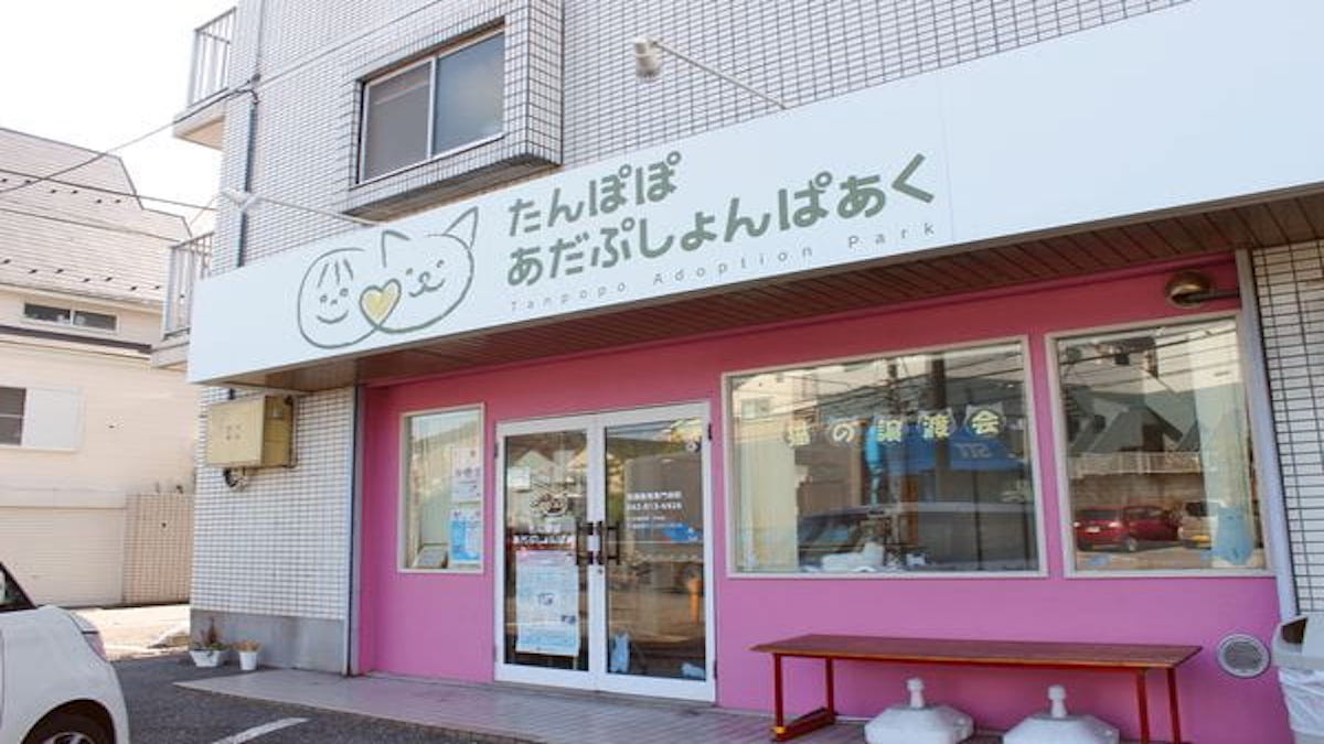 たんぽぽあだぷしょんぱぁく(ホテル)