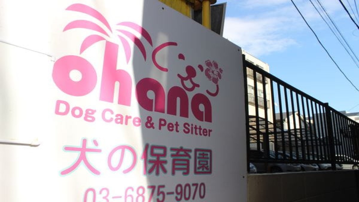 ドッグケア&ペットシッター Ohana