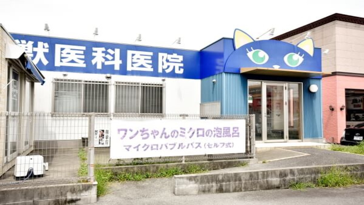 本間獣医科医院清水鳥坂病院