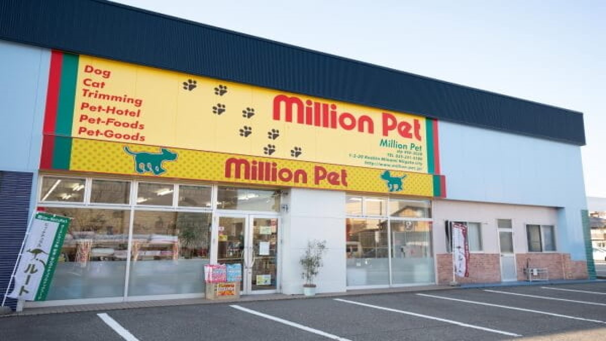 ミリオンペット小新店(ホテル)
