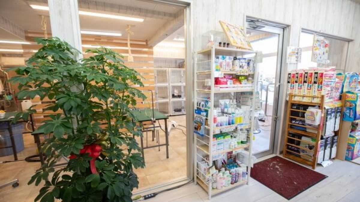 ミリオンペット小新店(ホテル)