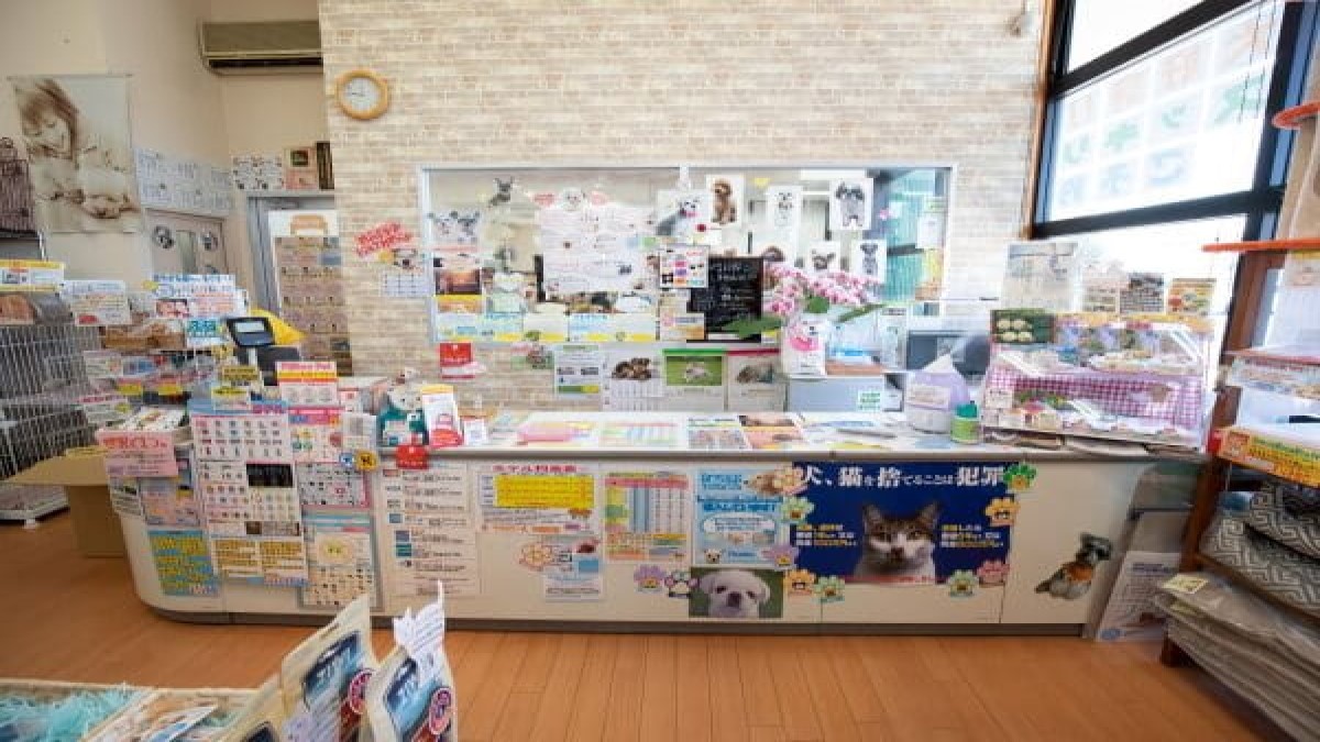 ミリオンペット松崎本店(ホテル)