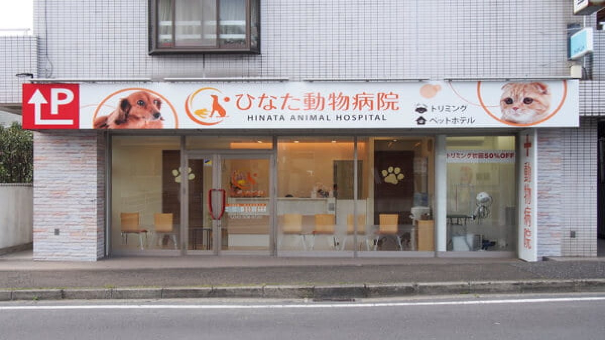 ひなた動物病院