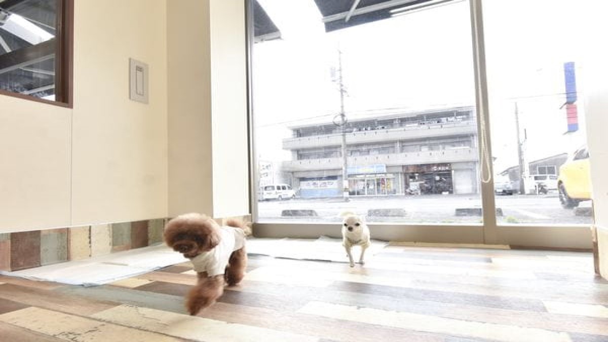PET DESIGN 春日井店(ホテル)