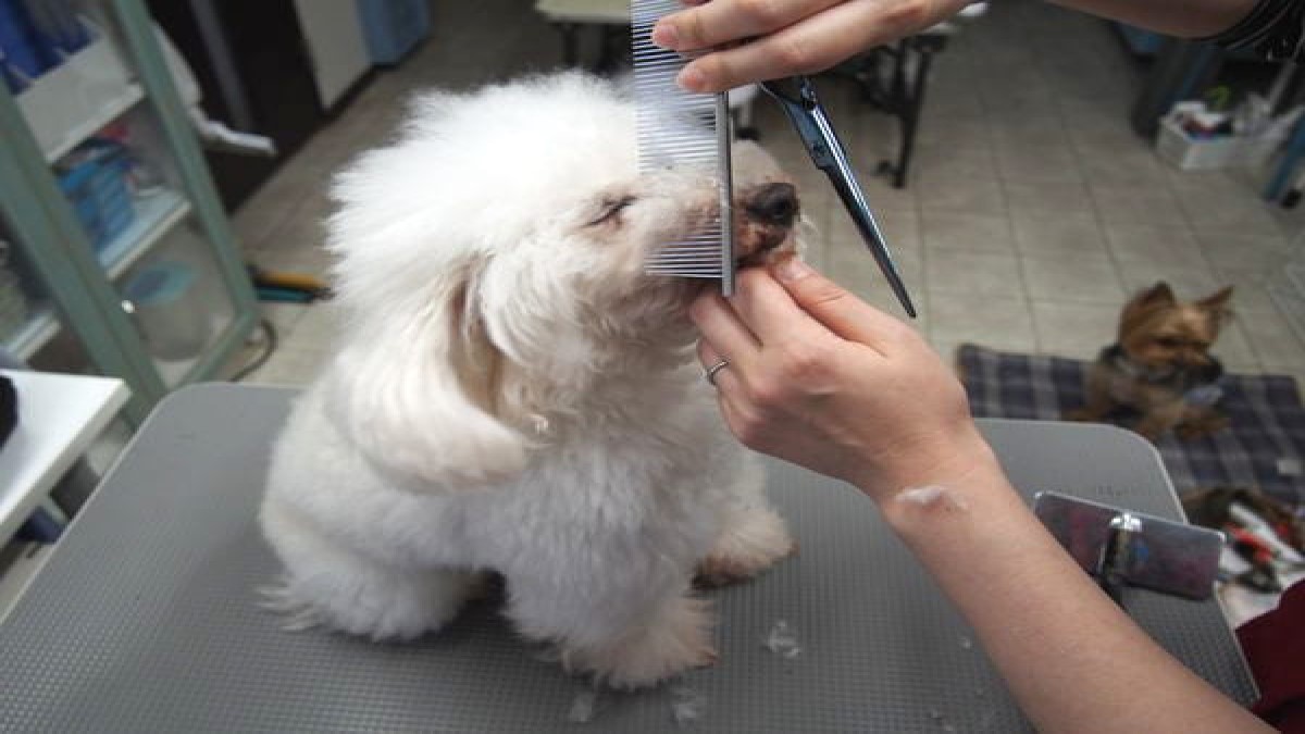 Salon Cross Wan(ホテル)