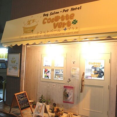 ココットベール+プラス 写真