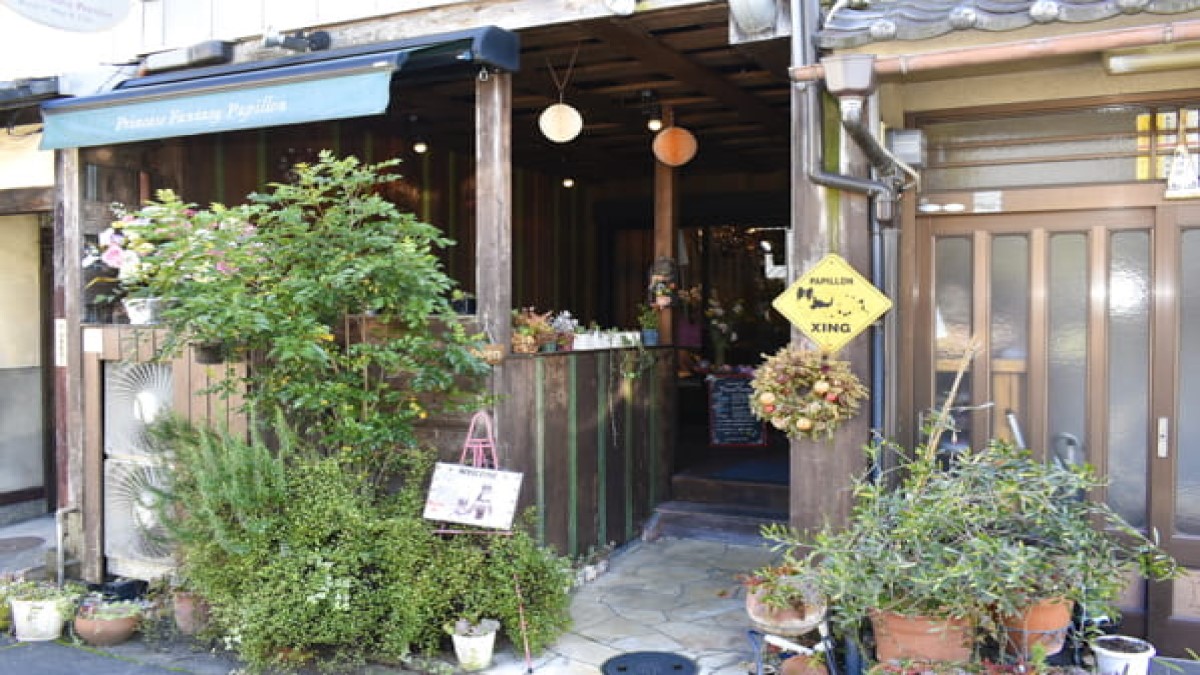ドッグサロン Princess Fantasy 本店