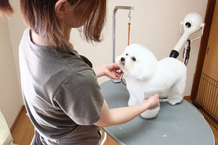 画像説明