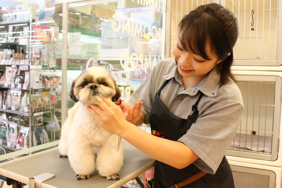 トウキョウワンク 大和店