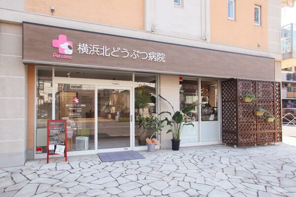 横浜北どうぶつ病院(トリミング) 人物