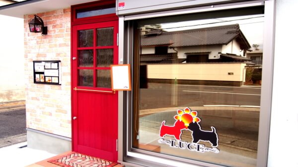 dog salon Luce