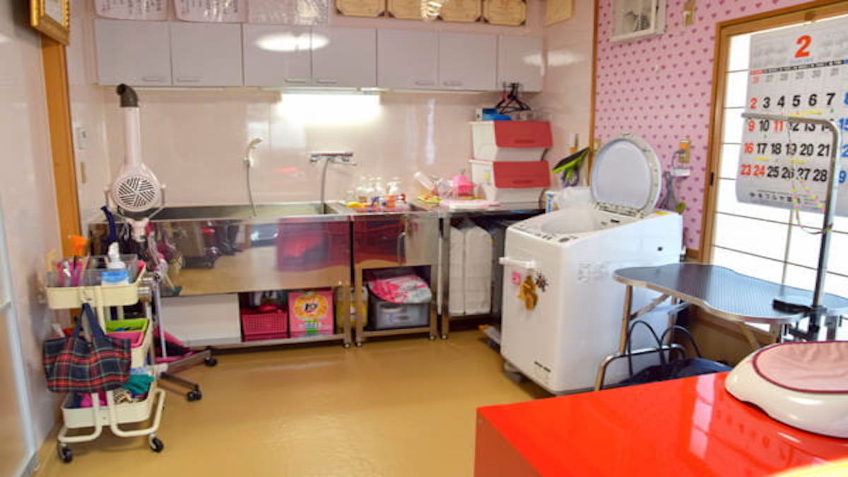 トリミングサロン美癒切