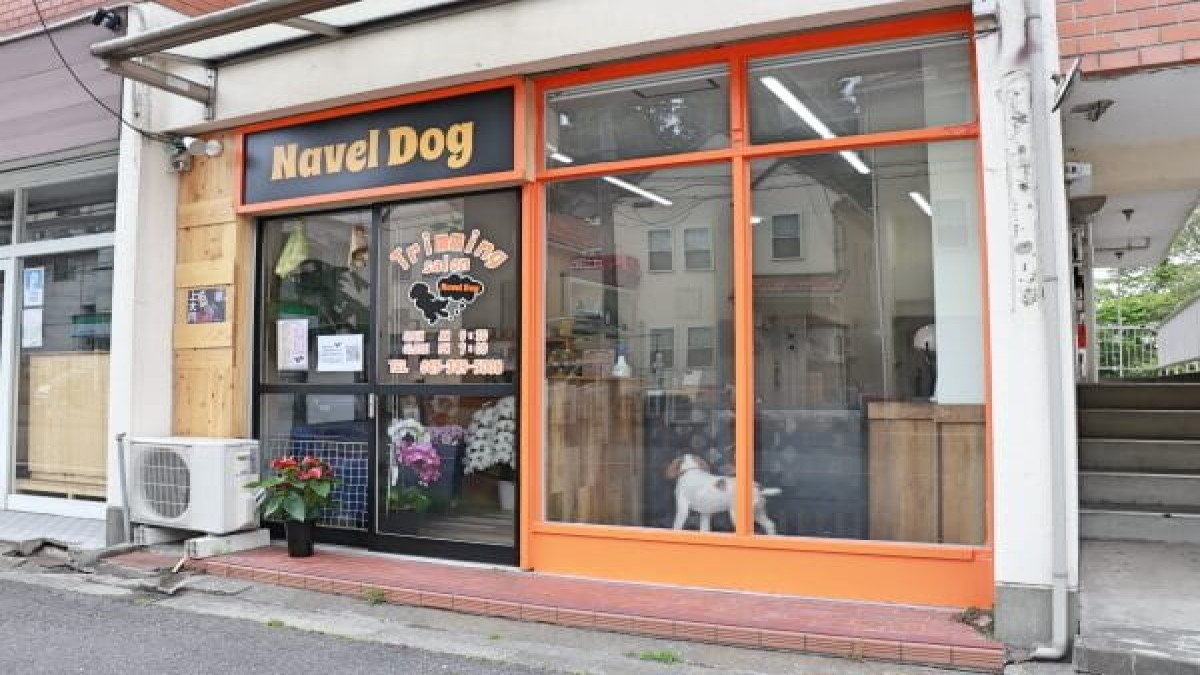 Navel Dog