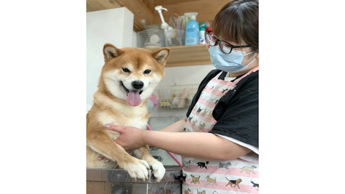 ドッグサロン ちょこ