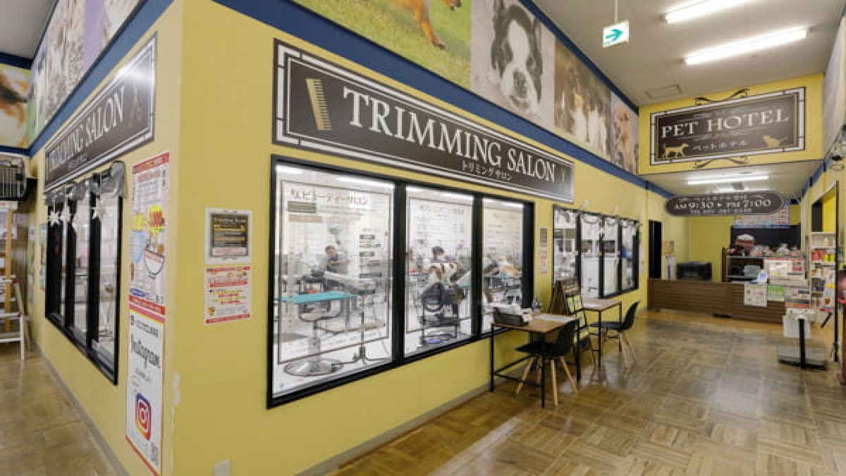 スーパーセンタームサシ新潟店