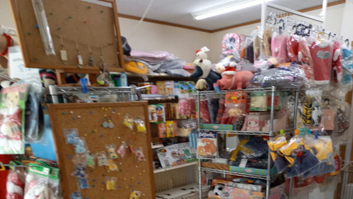 ワンだぁハウスラン