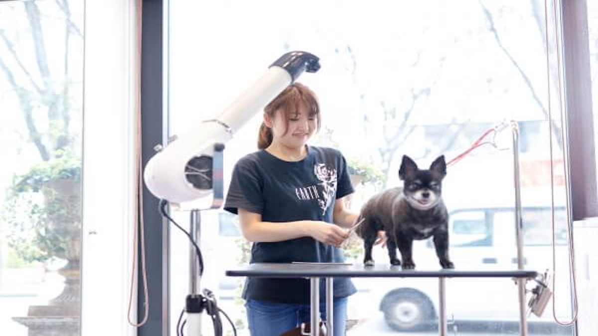 DOGGY EARTH 泉中央店
