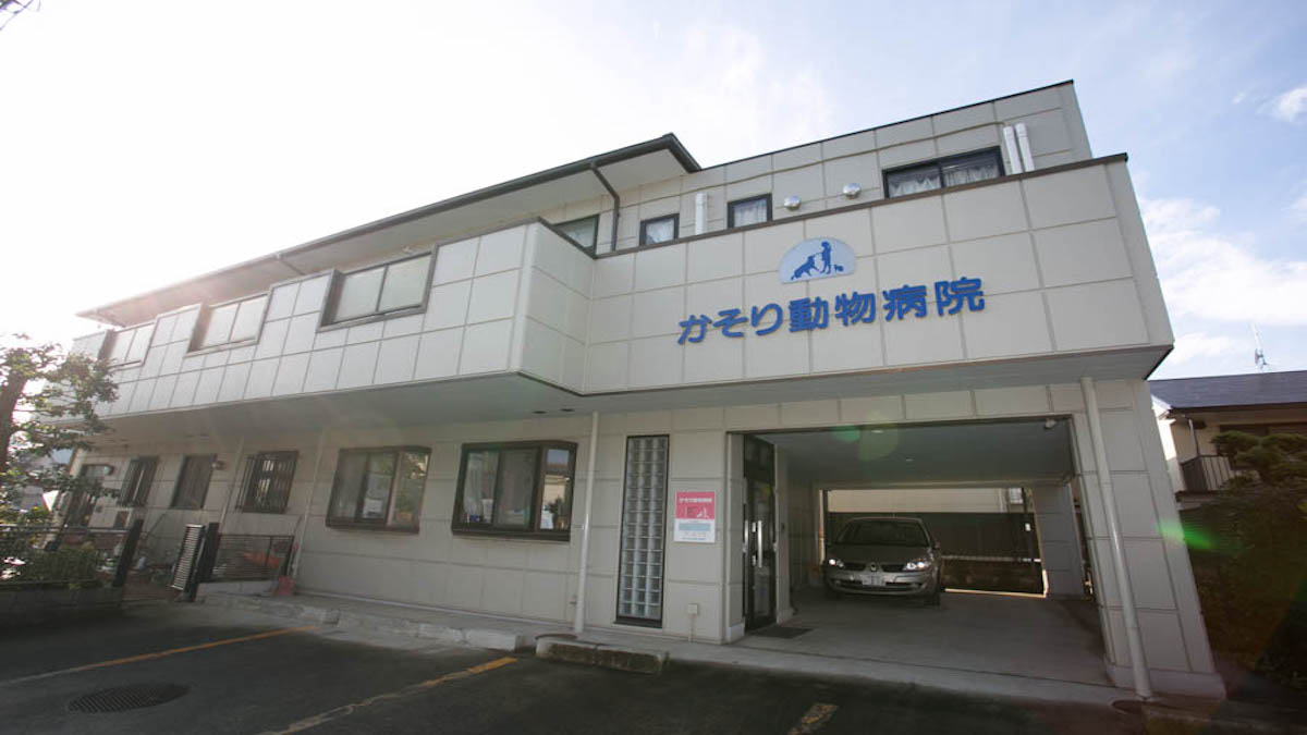 かそり動物病院(トリミング)