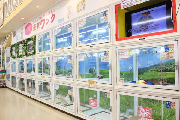 トウキョウワンク 東村山店
