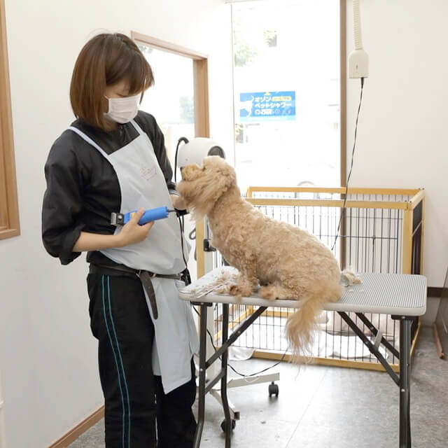 Dog Note外観写真