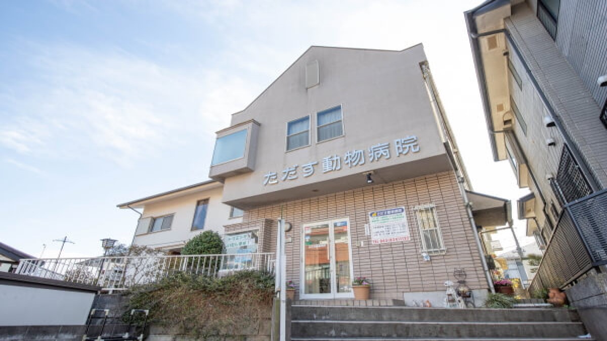 ただす動物病院(トリミング)