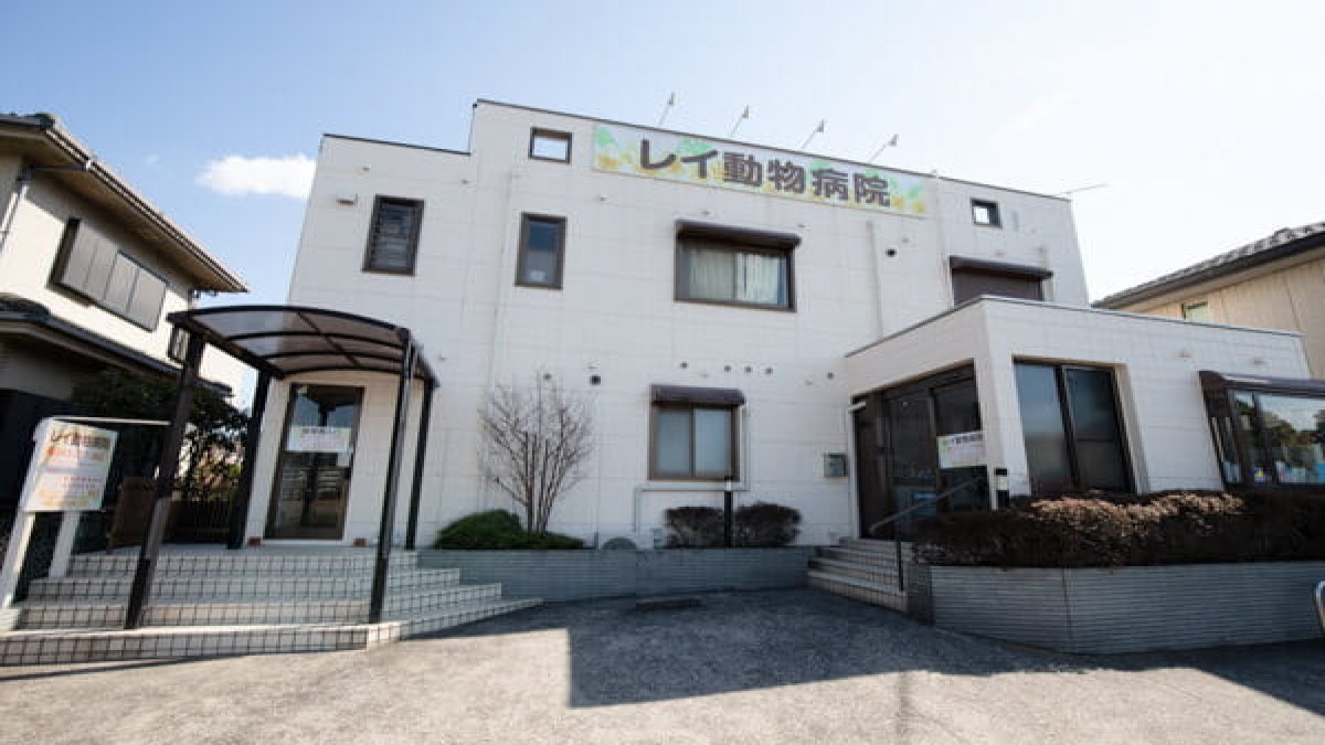 美浜区レイ動物病院