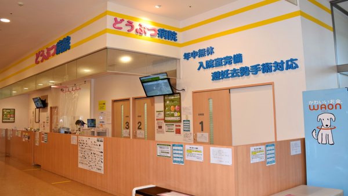 イオン動物病院 日の出