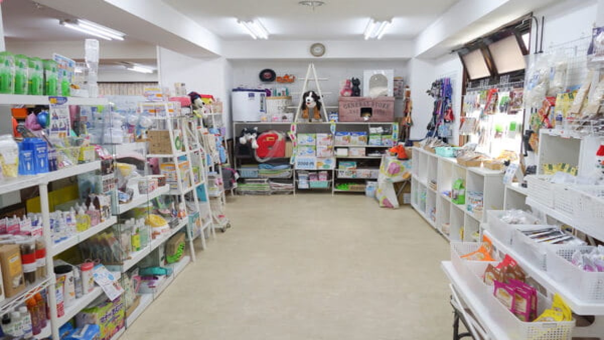 犬の幼稚園 わんこラボ