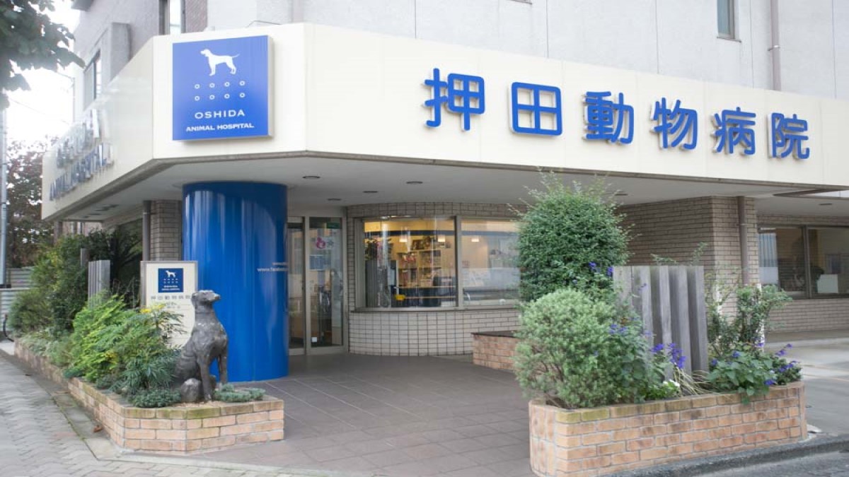 押田動物病院(ホテル)