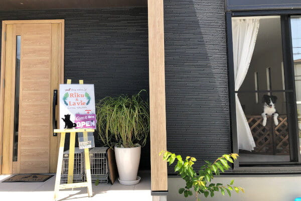 dogsalon Riku&La vie(ホテル)