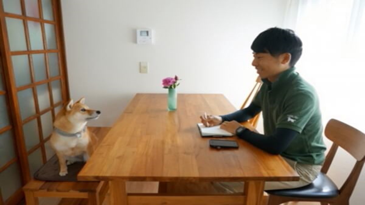 Dog Life Adviser ISHIKAWA (ホテル)