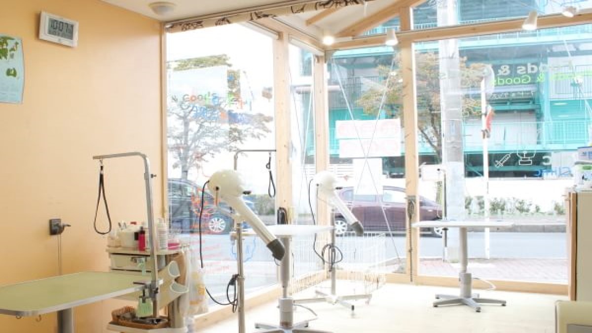 PET-SPA CARE+CURE 所沢