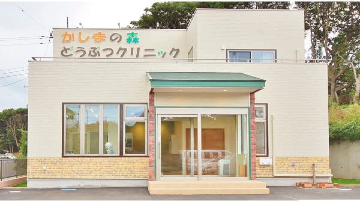 かしまの森どうぶつクリニック