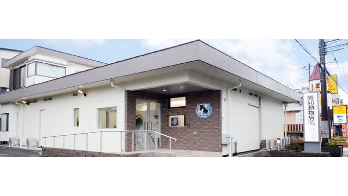勝間動物病院(ホテル)