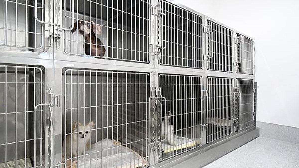 勝間動物病院(ホテル)