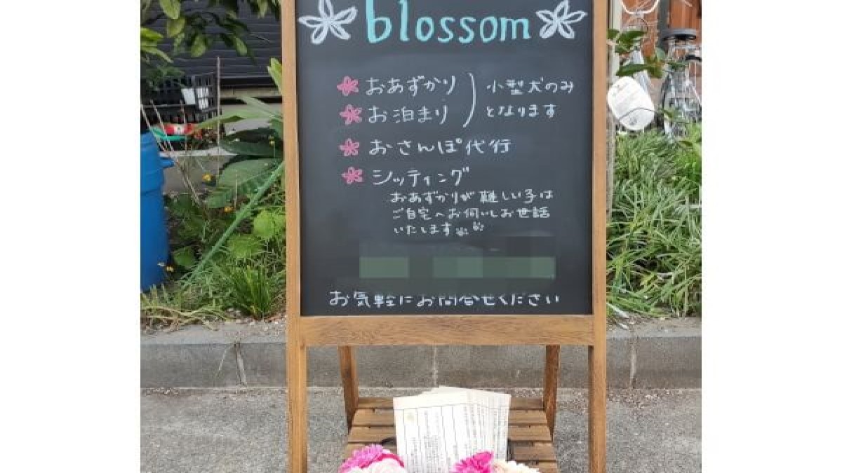 DOGGIE HOUSE blossom
