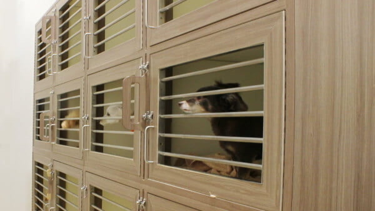 PET-SPA 流山おおたかの森店(ホテル)