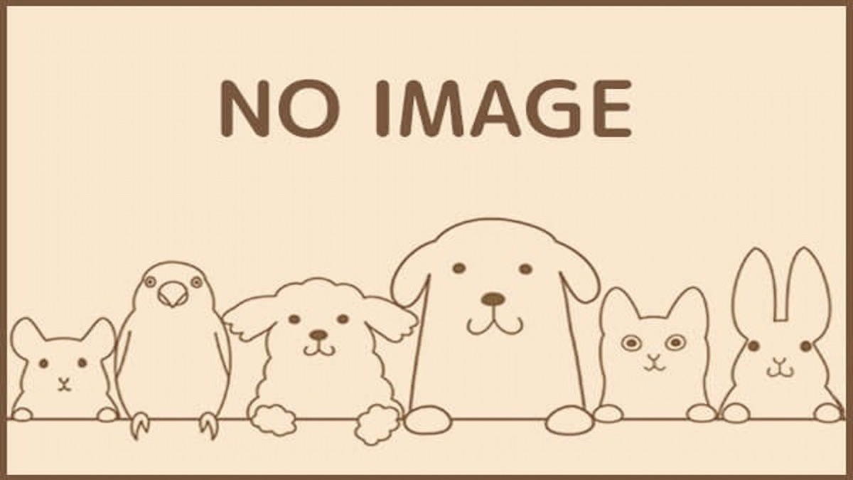 湘南鎌倉動物病院 動物眼科センター(ホテル)